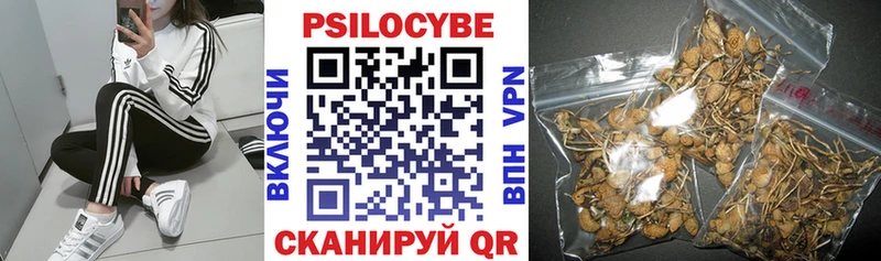 Купить где  Заозёрск  Галлюциногенные грибы прущие грибы 