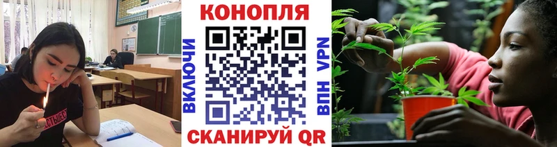 Купить закладки  Заозёрск  МАРИХУАНА сатива 